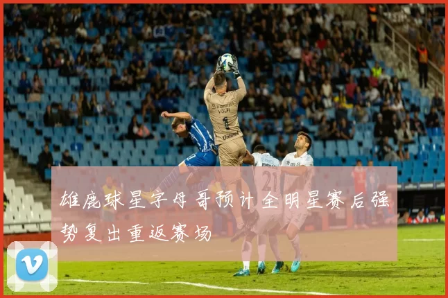 雄鹿球星字母哥预计全明星赛后强势复出重返赛场